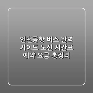 인천공항 버스 완벽 가이드: 노선, 시간표, 예약, 요금 총정리