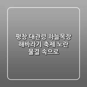 평창 대관령 하늘목장 해바라기 축제: 노란 물결 속으로!