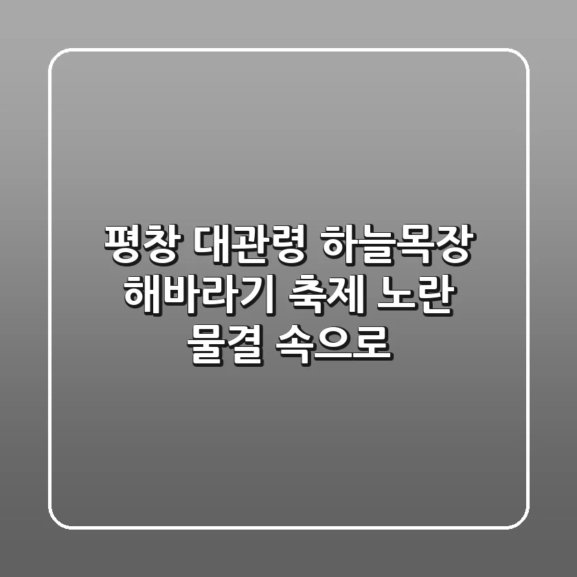 평창 대관령 하늘목장 해바라기 축제: 노란 물결 속으로!