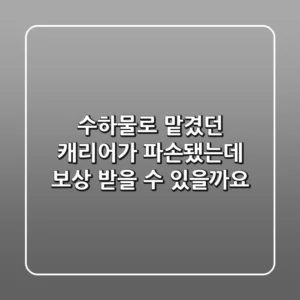 수하물로 맡겼던 캐리어가 파손됐는데 보상 받을 수 있을까요?