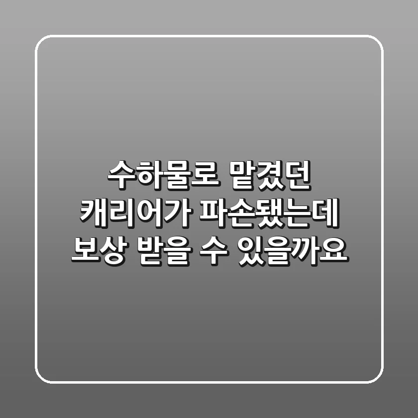 수하물로 맡겼던 캐리어가 파손됐는데 보상 받을 수 있을까요?