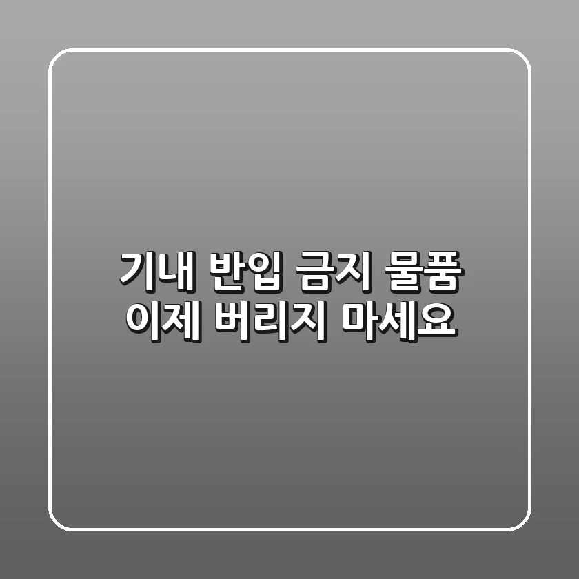 기내 반입 금지 물품, 이제 버리지 마세요!