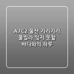 [A7C2] 울산 기리기리 풀빌라: 잊지 못할 바다와의 하루