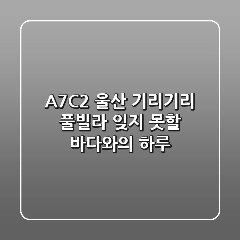 [A7C2] 울산 기리기리 풀빌라: 잊지 못할 바다와의 하루