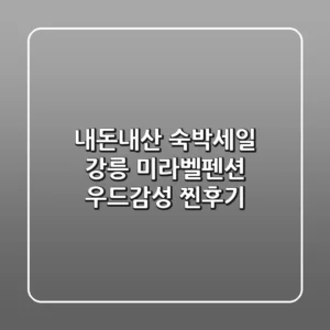 내돈내산 숙박세일! 강릉 미라벨펜션 우드감성 찐후기