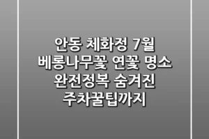 안동 체화정: 7월 베롱나무꽃 & 연꽃 명소 완전정복! 숨겨진 주차꿀팁까지