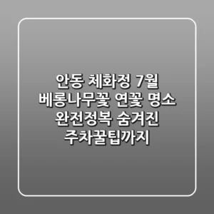 안동 체화정: 7월 베롱나무꽃 & 연꽃 명소 완전정복! 숨겨진 주차꿀팁까지