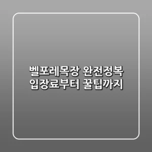 벨포레목장 완전정복: 입장료부터 꿀팁까지!🎠