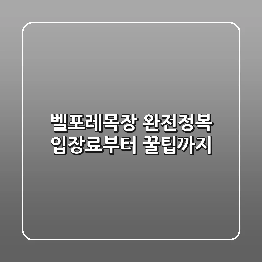 벨포레목장 완전정복: 입장료부터 꿀팁까지!🎠