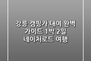 강릉 캠핑카 대여 완벽 가이드: 1박 2일 네이처로드 여행