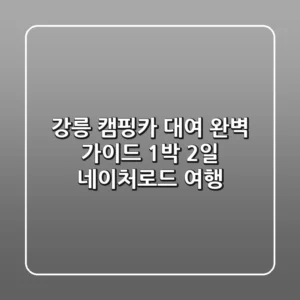 강릉 캠핑카 대여 완벽 가이드: 1박 2일 네이처로드 여행