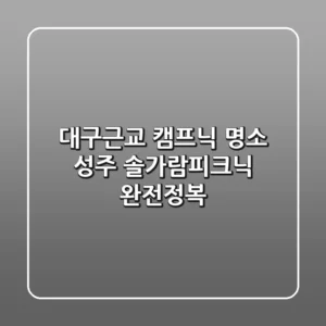 대구근교 캠프닉 명소! 성주 솔가람피크닉 완전정복