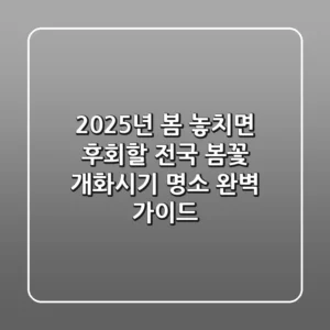 2025년 봄, 놓치면 후회할 전국 봄꽃 개화시기 & 명소 완벽 가이드