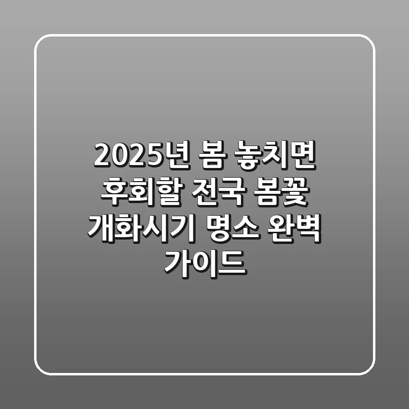 2025년 봄, 놓치면 후회할 전국 봄꽃 개화시기 & 명소 완벽 가이드