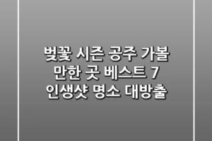 🌸 벚꽃 시즌! 공주 가볼 만한 곳 베스트 7: 인생샷 명소 대방출! 📸