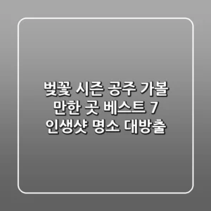 🌸 벚꽃 시즌! 공주 가볼 만한 곳 베스트 7: 인생샷 명소 대방출! 📸