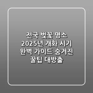전국 벚꽃 명소: 2025년 개화 시기 완벽 가이드 & 숨겨진 꿀팁 대방출!