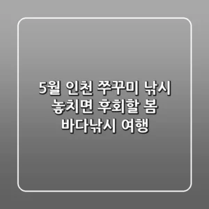 5월 인천 쭈꾸미 낚시, 놓치면 후회할 봄 바다낚시 여행!