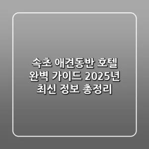 속초 애견동반 호텔 완벽 가이드: 2025년 최신 정보 총정리