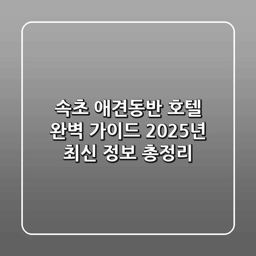 속초 애견동반 호텔 완벽 가이드: 2025년 최신 정보 총정리