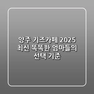 양주 키즈카페, 2025 최신! 똑똑한 엄마들의 선택 기준