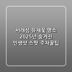 서래섬 유채꽃 명소: 2025년 숨겨진 인생샷 스팟 & 주차꿀팁