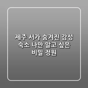제주 서가: 숨겨진 감성 숙소, 나만 알고 싶은 비밀 정원