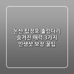 논산 탑정호 출렁다리: 숨겨진 매력 3가지 & 인생샷 보장 꿀팁