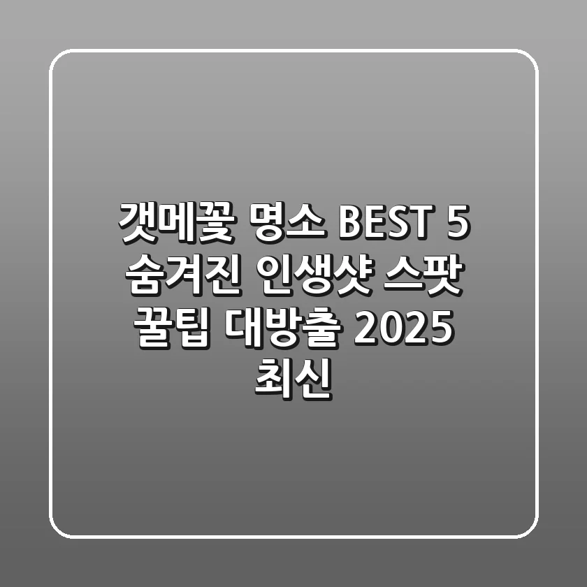 갯메꽃 명소 BEST 5: 숨겨진 인생샷 스팟 & 꿀팁 대방출 (2025 최신)