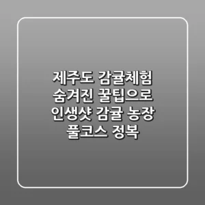 제주도 감귤체험, 숨겨진 꿀팁으로 인생샷 & 감귤 농장 풀코스 정복!