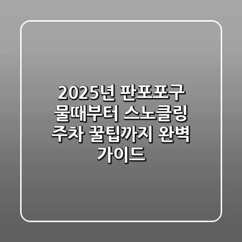 2025년 판포포구 물때부터 스노클링, 주차 꿀팁까지 완벽 가이드