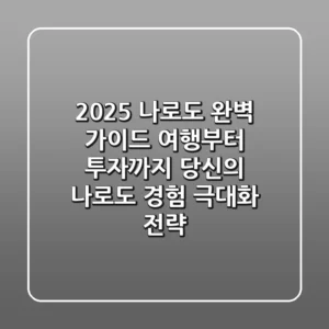 2025 나로도 완벽 가이드: 여행부터 투자까지, 당신의 나로도 경험 극대화 전략