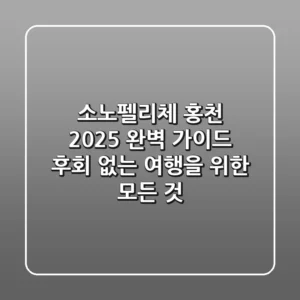 소노펠리체 홍천 2025 완벽 가이드: 후회 없는 여행을 위한 모든 것