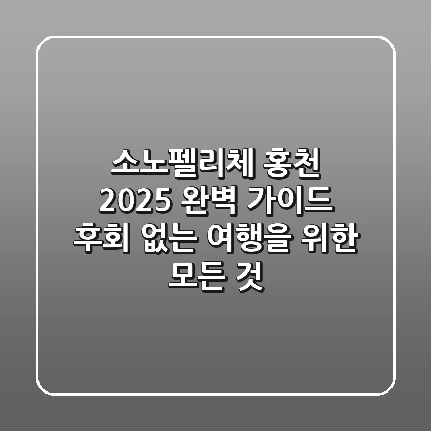 소노펠리체 홍천 2025 완벽 가이드: 후회 없는 여행을 위한 모든 것