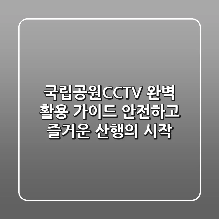 국립공원CCTV 완벽 활용 가이드: 안전하고 즐거운 산행의 시작