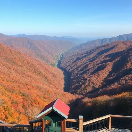 나에게 맞는 보은 여행 테마 찾기: 자연, 역사, 액티비티?