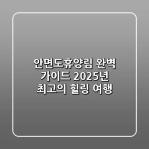 안면도휴양림 완벽 가이드: 2025년 최고의 힐링 여행