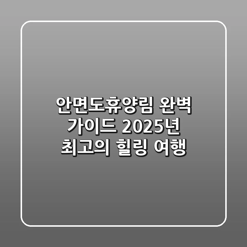 안면도휴양림 완벽 가이드: 2025년 최고의 힐링 여행