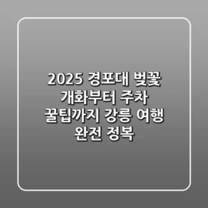 2025 경포대 벚꽃, 개화부터 주차 꿀팁까지! 강릉 여행 완전 정복