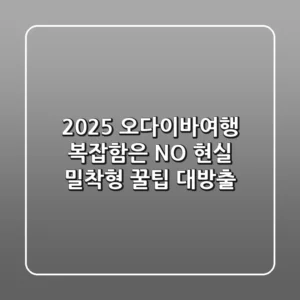 2025 오다이바여행: 복잡함은 NO! 현실 밀착형 꿀팁 대방출