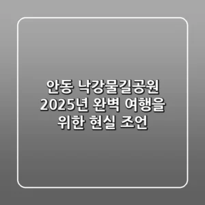 안동 낙강물길공원: 2025년 완벽 여행을 위한 현실 조언