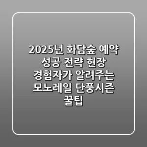 2025년 화담숲 예약 성공 전략: 현장 경험자가 알려주는 모노레일, 단풍시즌 꿀팁