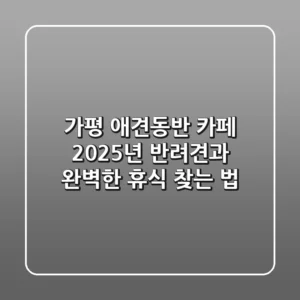 가평 애견동반 카페, 2025년 반려견과 완벽한 휴식 찾는 법