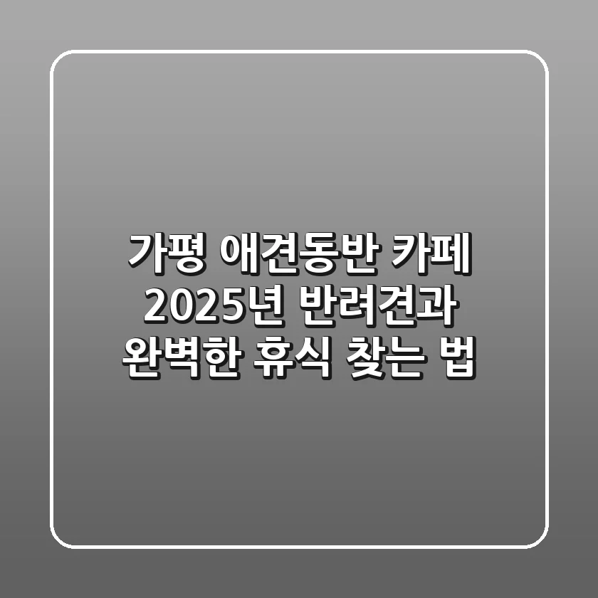 가평 애견동반 카페, 2025년 반려견과 완벽한 휴식 찾는 법
