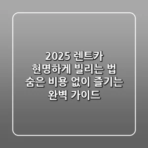 2025 렌트카 현명하게 빌리는 법: 숨은 비용 없이 즐기는 완벽 가이드
