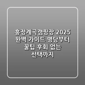 흥정계곡캠핑장 2025 완벽 가이드: 명당부터 꿀팁, 후회 없는 선택까지!