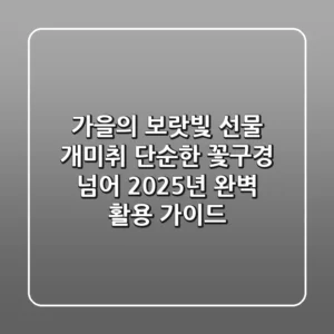 가을의 보랏빛 선물, 개미취: 단순한 꽃구경 넘어 2025년 완벽 활용 가이드