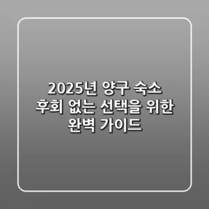 2025년 양구 숙소, 후회 없는 선택을 위한 완벽 가이드