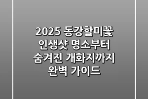 2025 동강할미꽃, 인생샷 명소부터 숨겨진 개화지까지 완벽 가이드