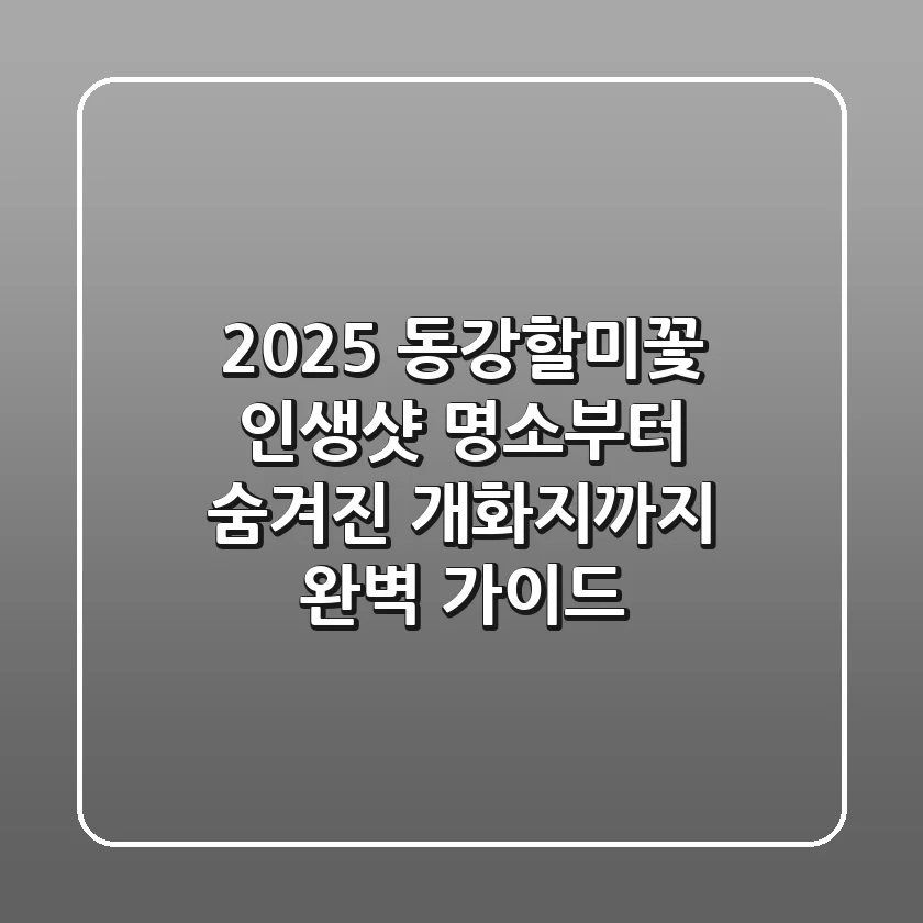 2025 동강할미꽃, 인생샷 명소부터 숨겨진 개화지까지 완벽 가이드